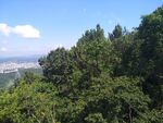 塔山