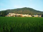 田园风光