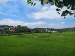 田园风光