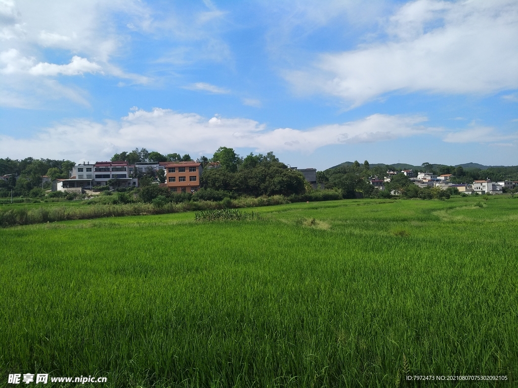 田园风光
