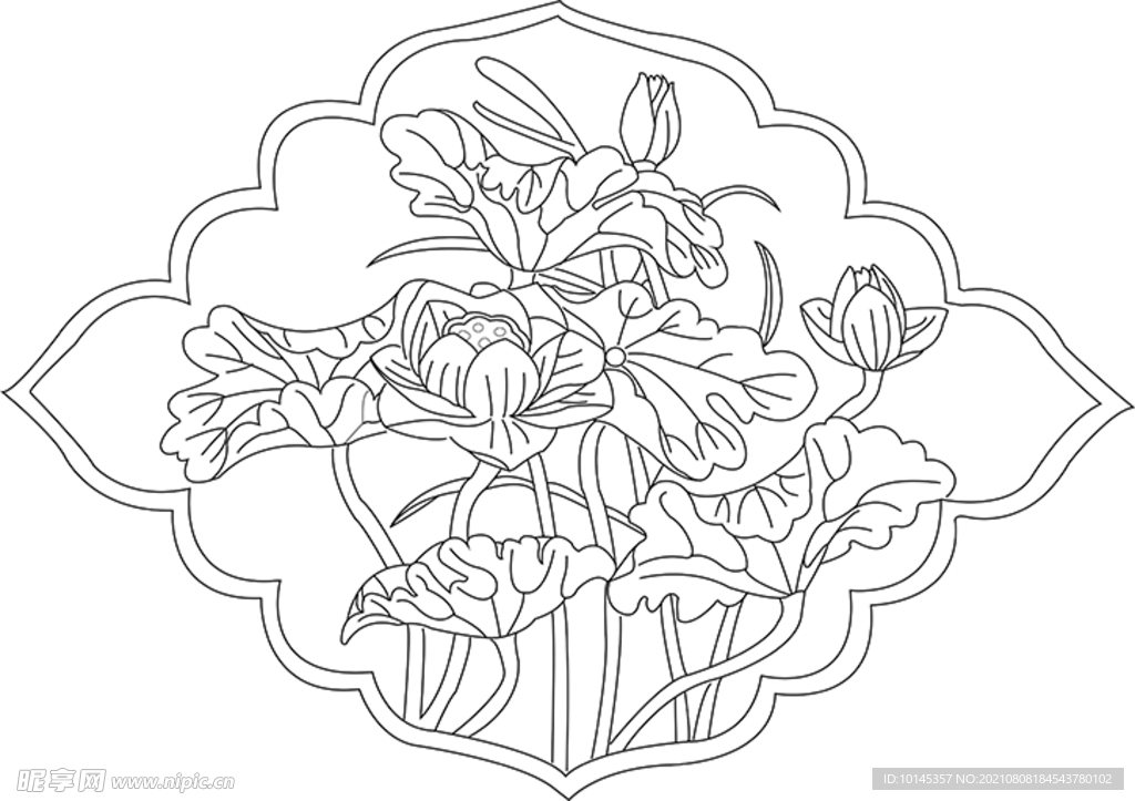 荷花