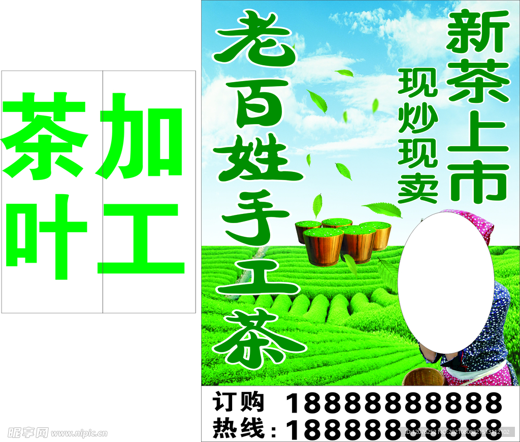 茶叶加工
