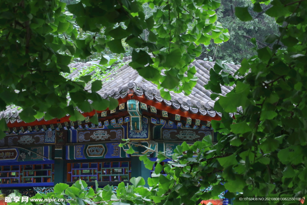 园林风景 
