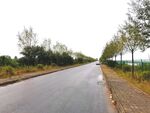 雨天的乡村道路风景
