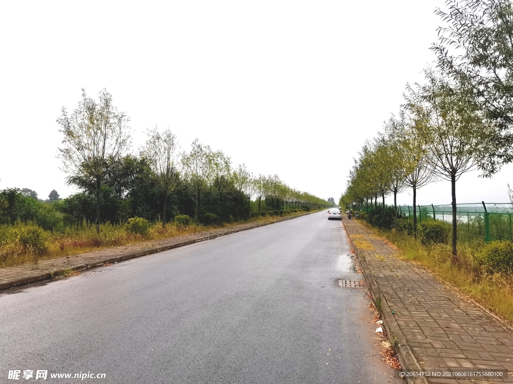 雨天的乡村道路风景