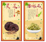 药材海报