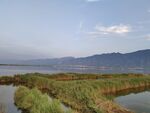 伍姓湖