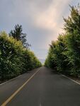 公路