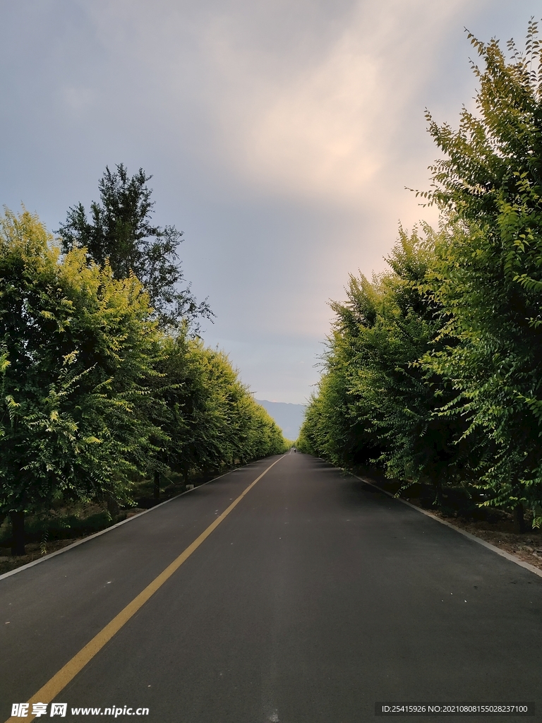 公路
