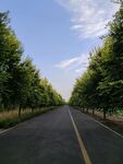 公路