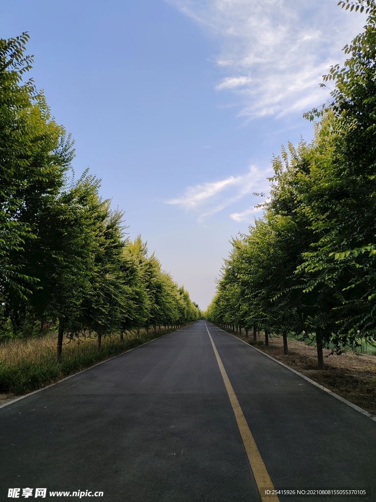 公路