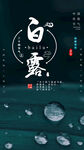 白露