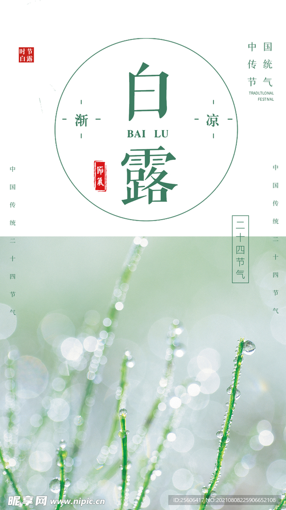 白露