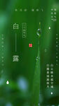 白露