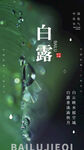白露