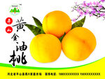 黄金油桃包装