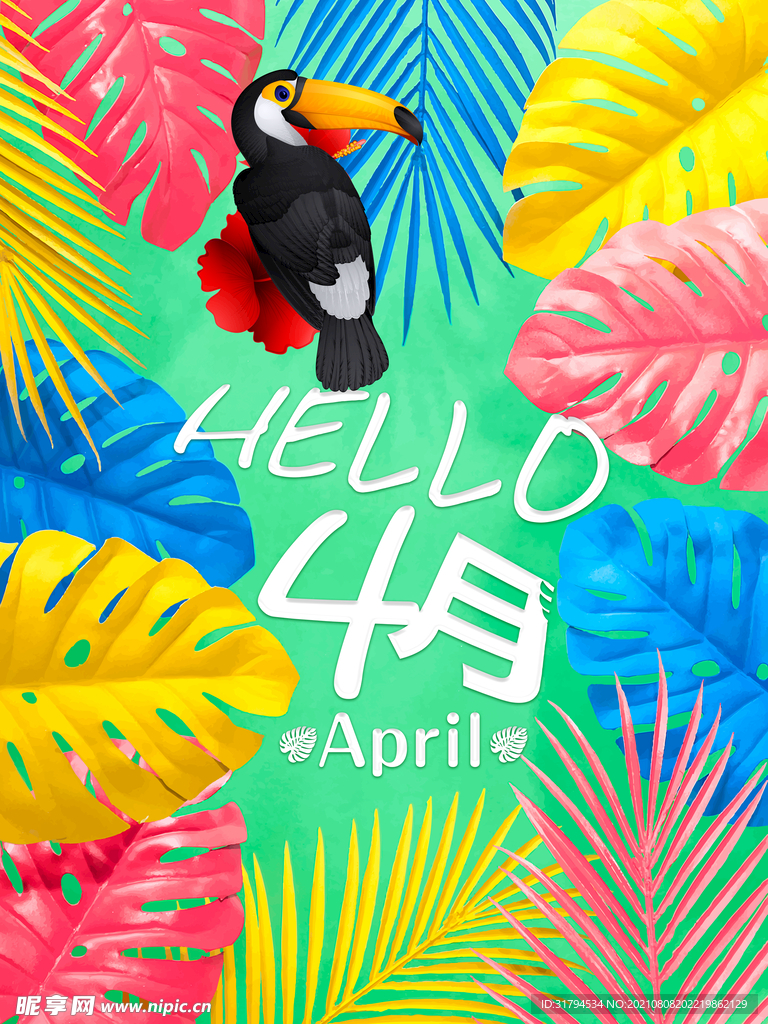 夏季上新