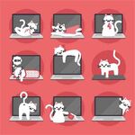 卡通猫