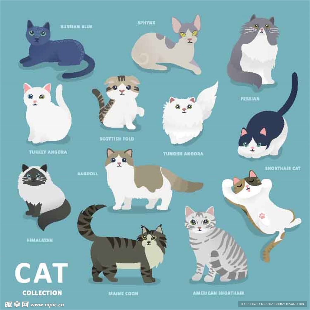 卡通猫