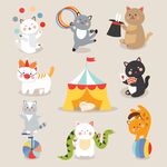 卡通猫