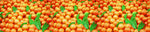 柑橘长图