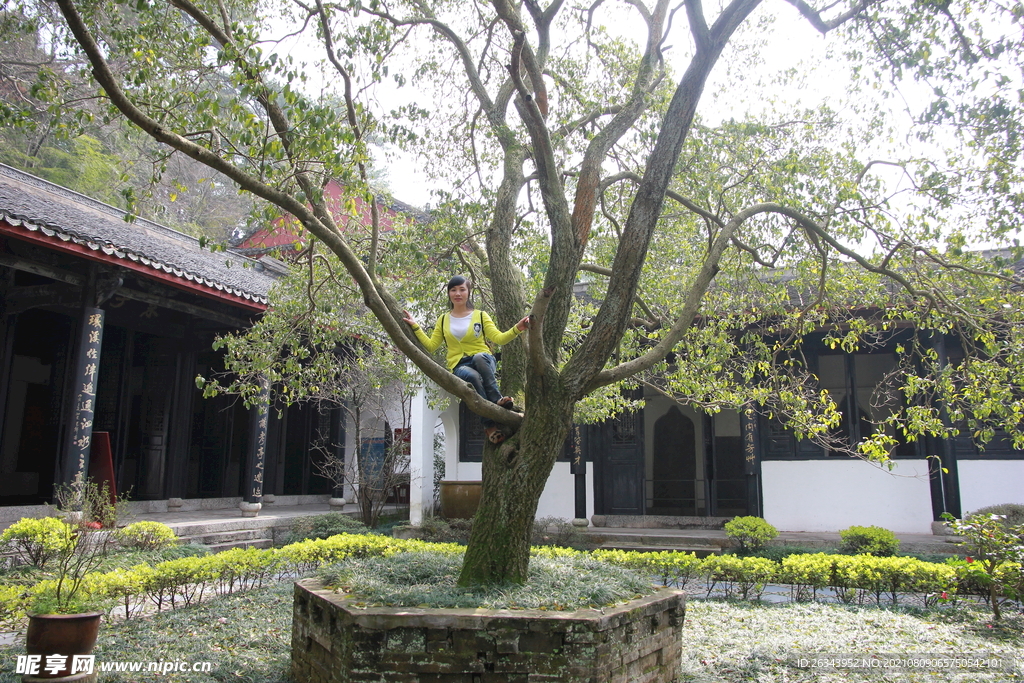 白鹿洞书院