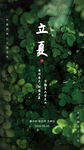 立夏节气节日朋友圈海报