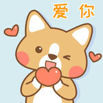 柯基小布