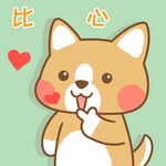 柯基小布 