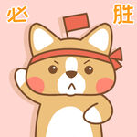 柯基小布