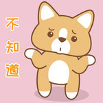 柯基小布