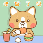 柯基小布 