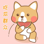柯基小布