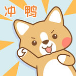 柯基小布