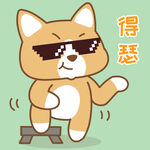 柯基小布 