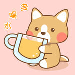 柯基小布 