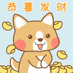 柯基小布