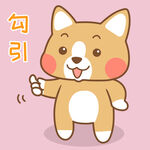 柯基小布 