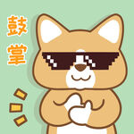 柯基小布 