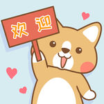 柯基小布 