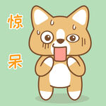 柯基小布