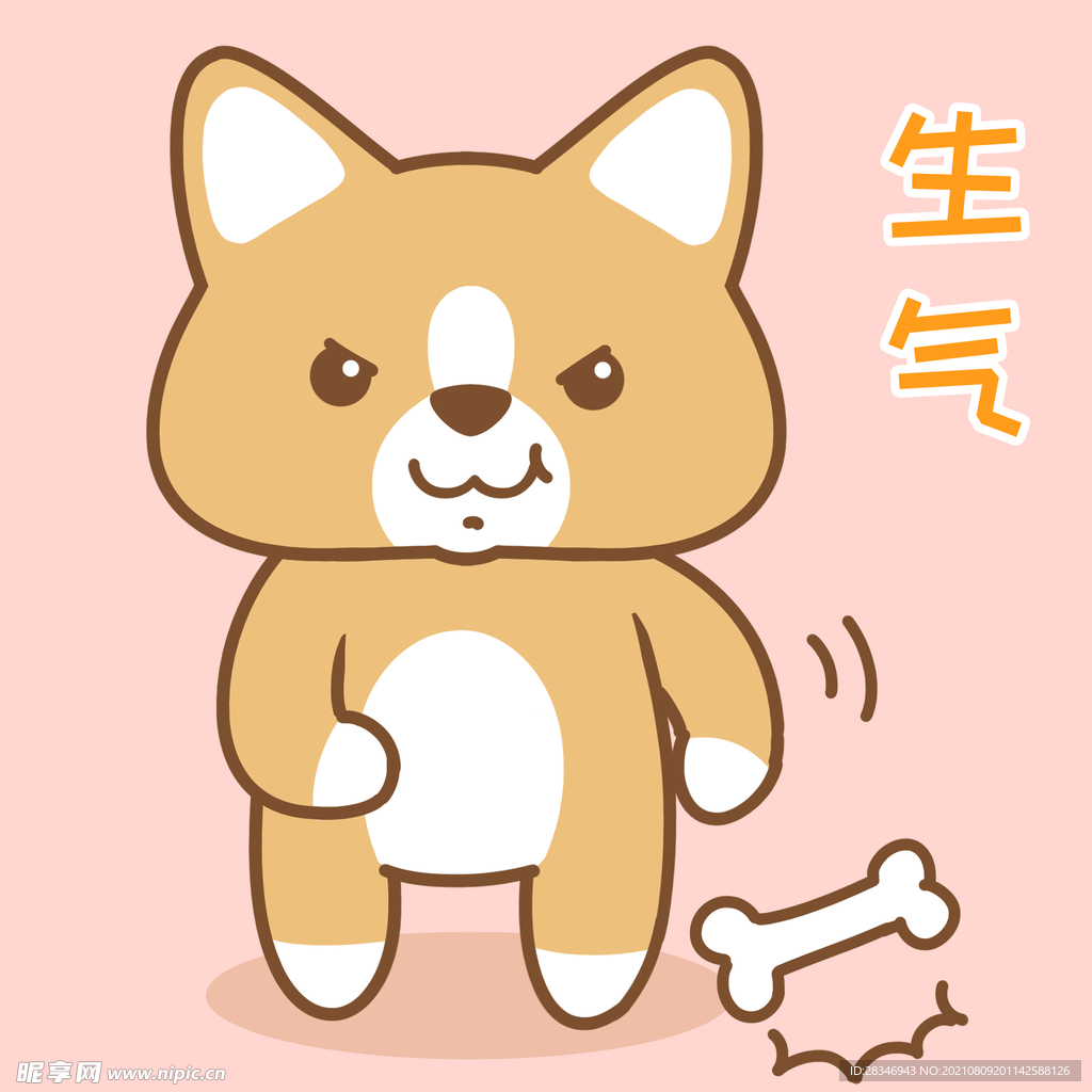 柯基小布