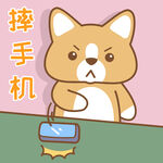 柯基小布