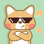 柯基小布