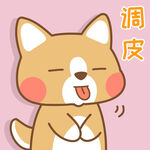 柯基小布 