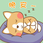 柯基小布
