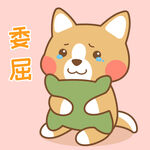柯基小布