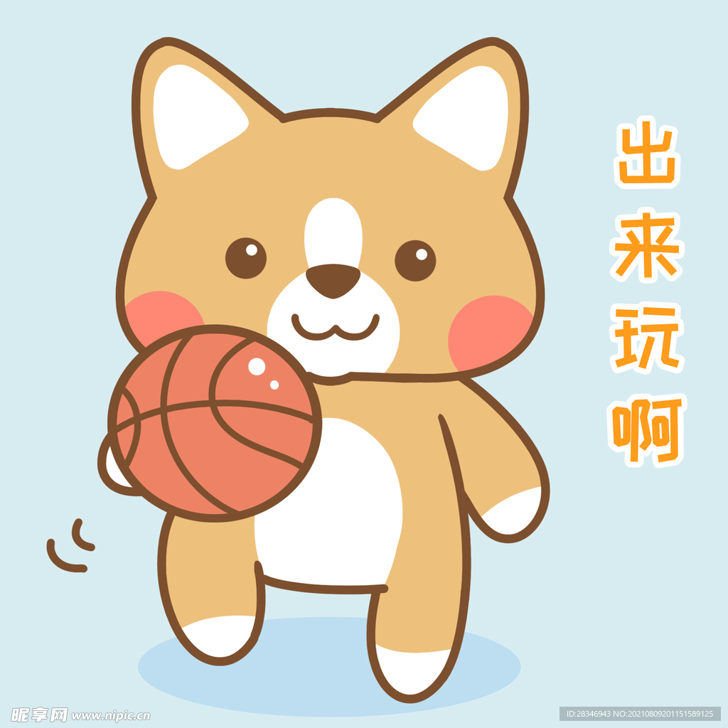 柯基小布