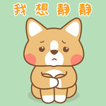 柯基小布 