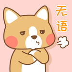 柯基小布 